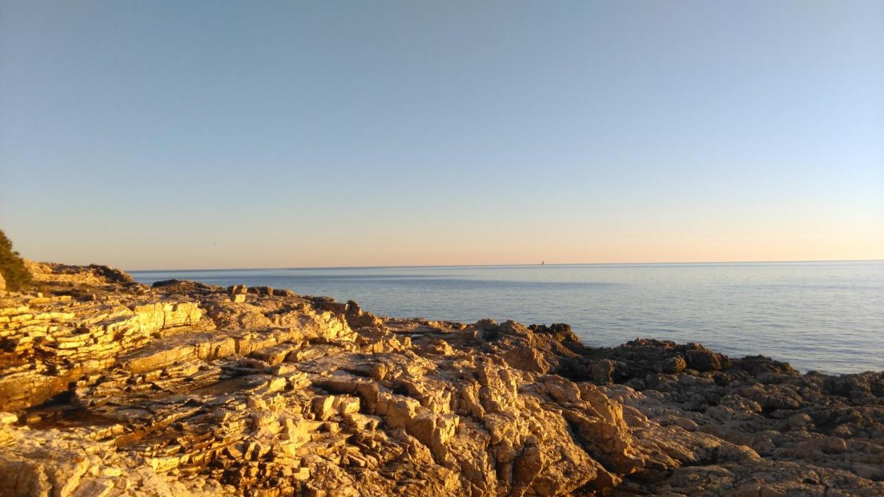Lair By The Sea - Stoja, Pula Apartment Bagian luar foto